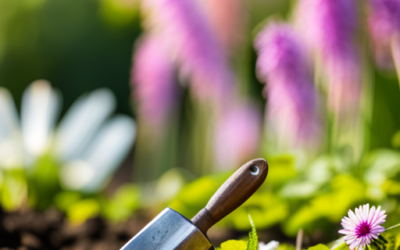 Советы начинающему садоводу